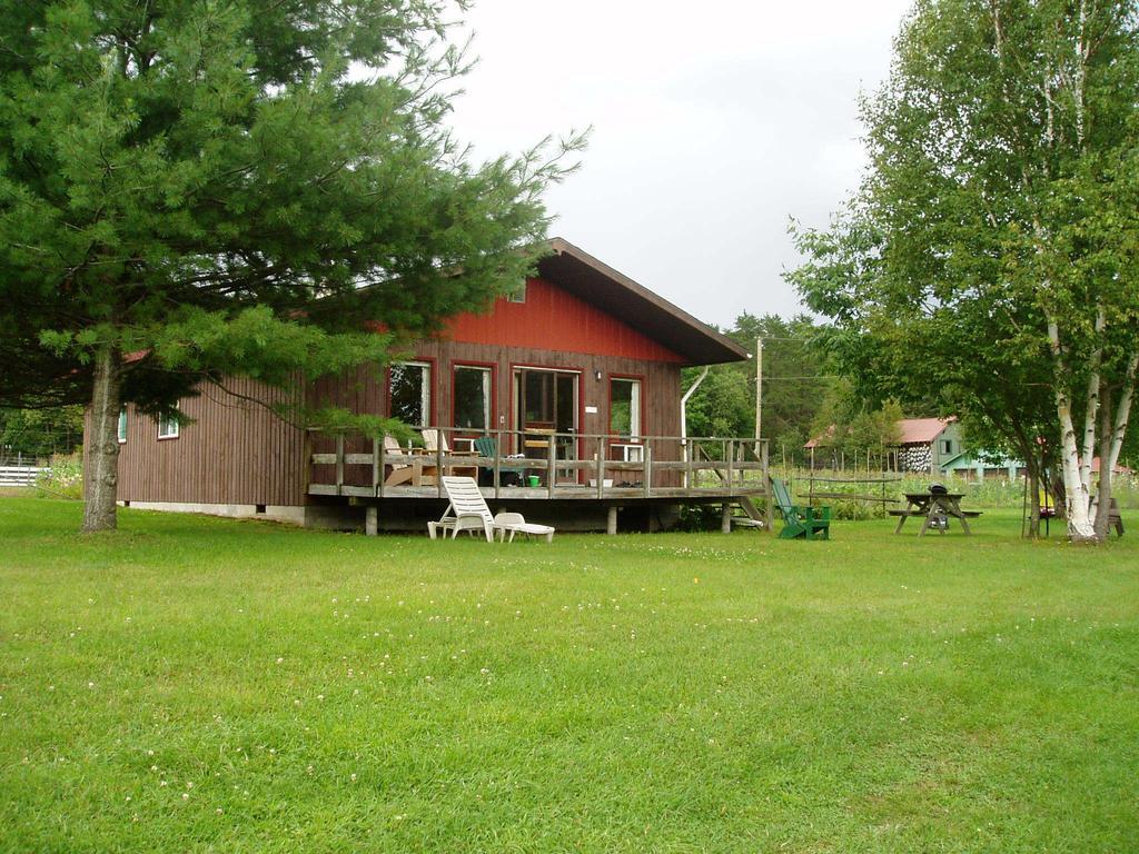 Bondi Village Cottage Resort Lake of Bays Ngoại thất bức ảnh